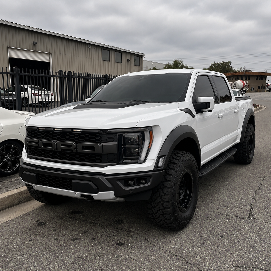 Raptor - Detail, Polish, Protected and Tinted.